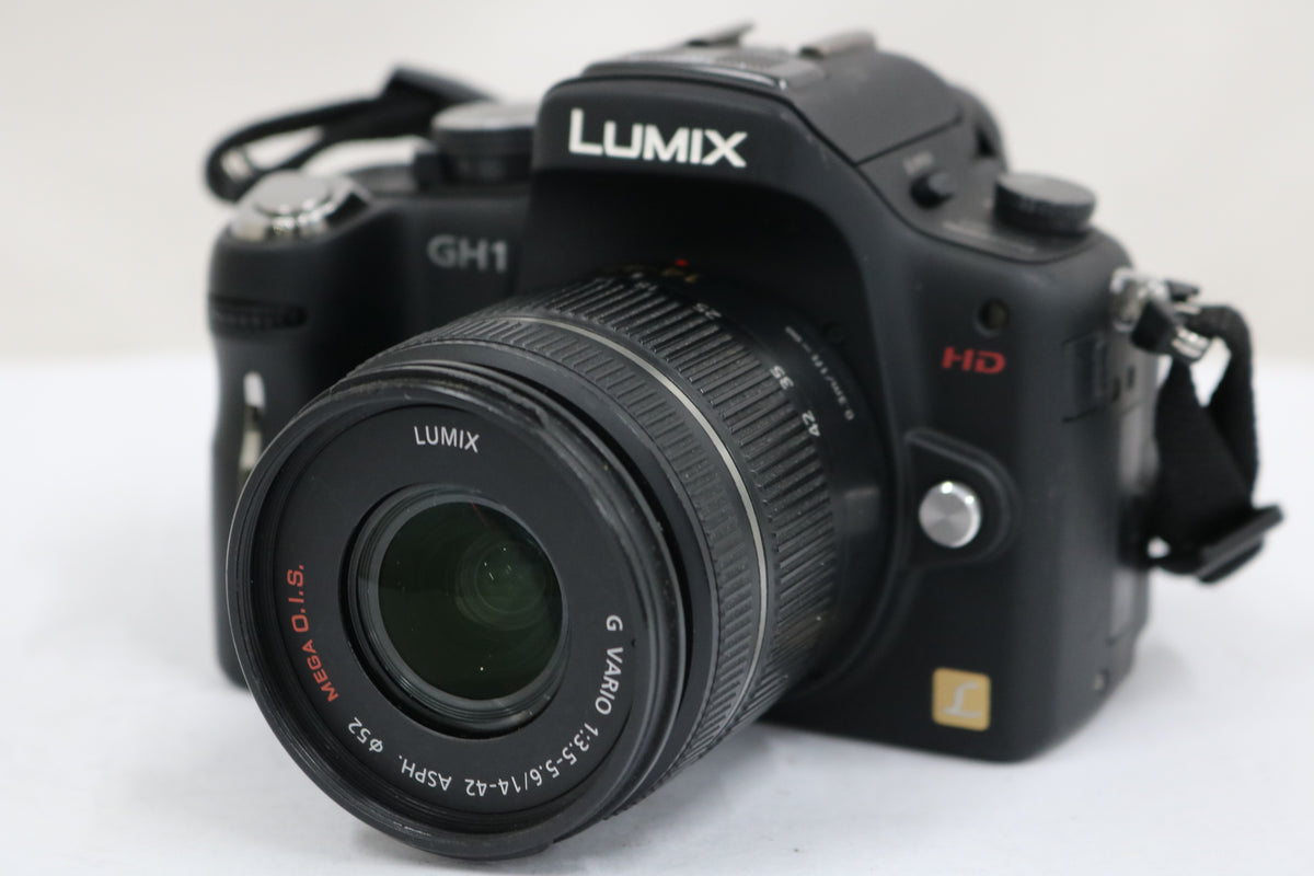 パナソニック Panasonic Lumix DMC-GH1 ブラック G VARIO 14-42mm F3.5-5.6 ASPH ミラーレス一眼 1
