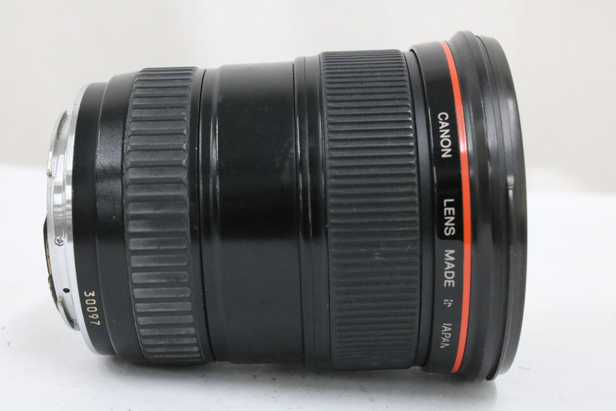 キャノン Canon EF 17-35mm F2.8 L ULTRASONIC レンズ 5