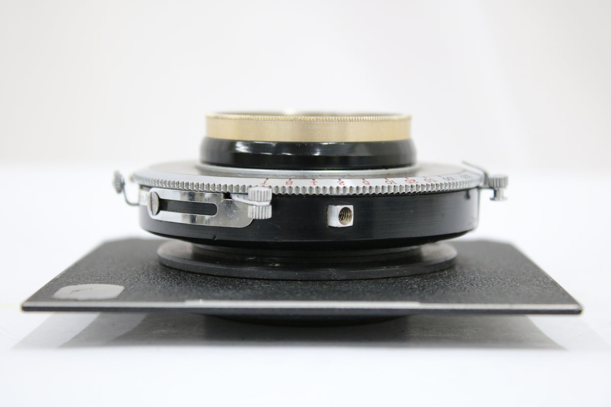 【希少】 Trade Rapax Mark C.P.Goerz AM. OPT. CO. Dagor 8 1/4 IN F6.8 大判レンズ 5