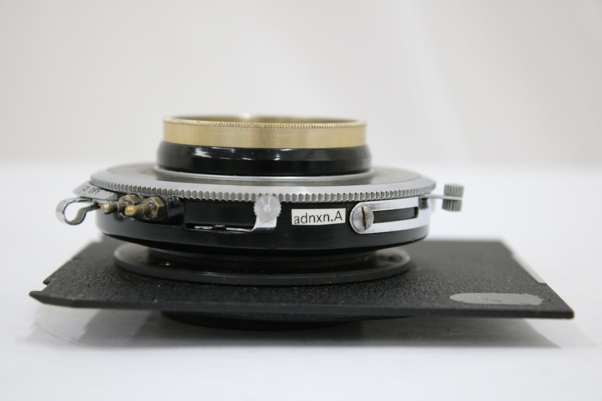 【希少】 Trade Rapax Mark C.P.Goerz AM. OPT. CO. Dagor 8 1/4 IN F6.8 大判レンズ 6