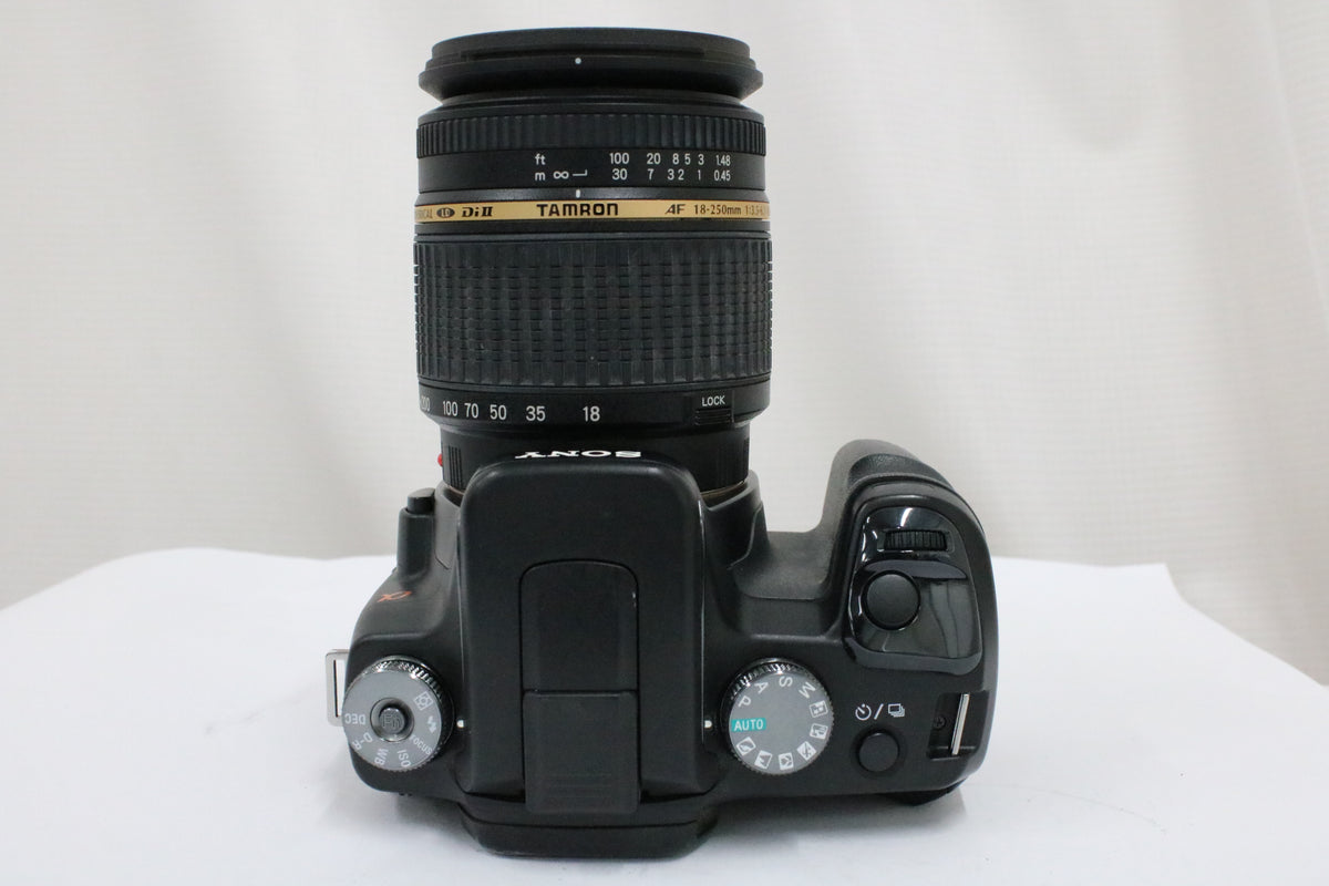 ソニー Sony α100 tamron ASPHERICAL Di II AF 18-250mm F3.5-6.3 MACRO デジタル一眼 6