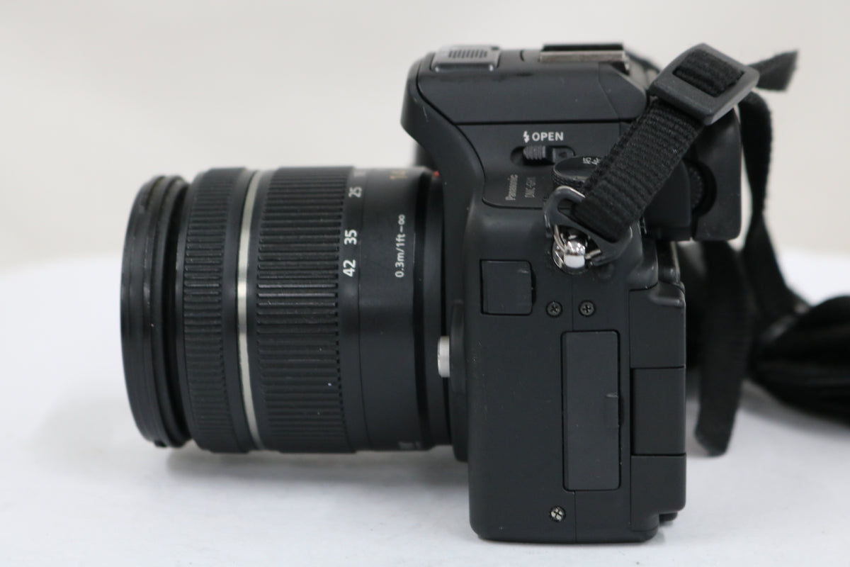 パナソニック Panasonic Lumix DMC-GH1 ブラック G VARIO 14-42mm F3.5-5.6 ASPH ミラーレス一眼 3