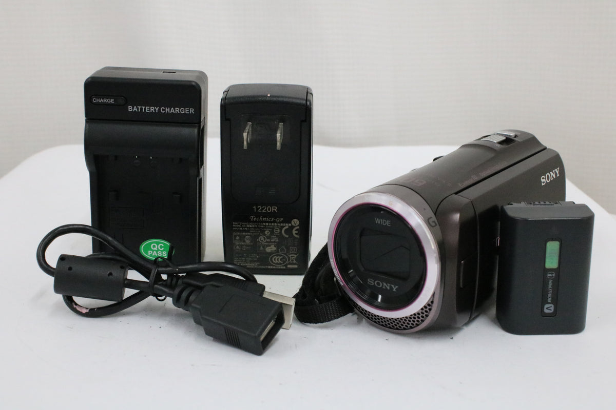 ソニー Sony Handycam HDR-CX420 60x ボルドーブラウン 付属品多数 ビデオカメラ 1