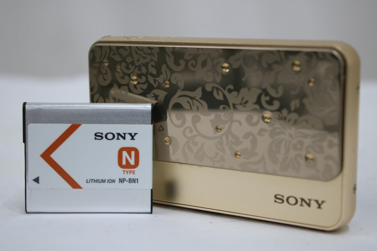 ソニー Sony Cyber-shot DSC-T99D 4x ゴールド バッテリー付き コンパクトデジタルカメラ 1