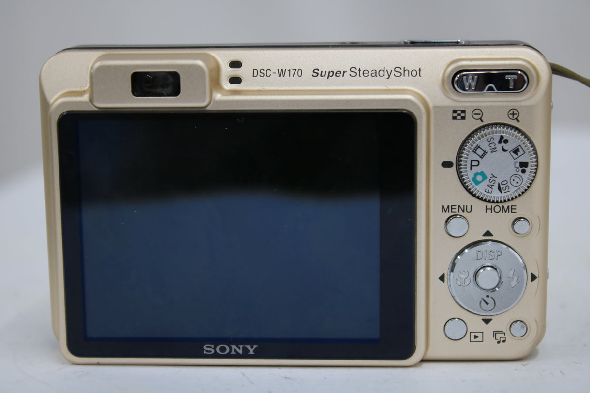 ソニー Sony Cyber-shot DSC-W170 5x ゴールド バッテリー付き コンパクトデジタルカメラ 4
