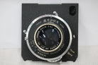【希少】 Trade Rapax Mark C.P.Goerz AM. OPT. CO. Dagor 8 1/4 IN F6.8 大判レンズ 2