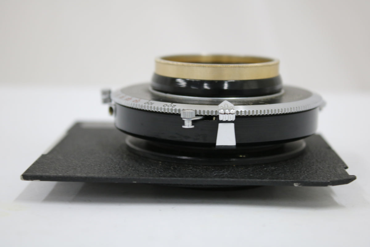 【希少】 Trade Rapax Mark C.P.Goerz AM. OPT. CO. Dagor 8 1/4 IN F6.8 大判レンズ 4